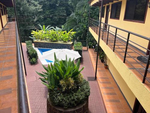a balcony with an umbrella and plants on a building at Condo Mono Titi in Quepos