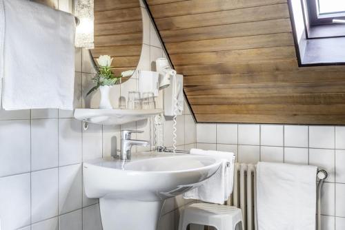 a bathroom with a sink and a toilet at Gasthaus Seehof in Iznang