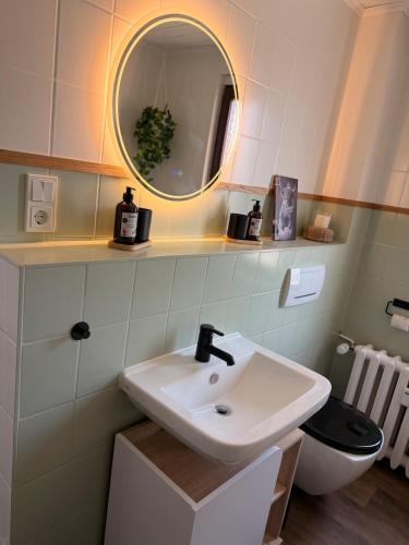 a bathroom with a sink and a mirror and a toilet at Ferienwohnung Börnecker Landruhe in Börnecke