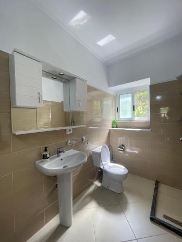 a bathroom with a sink and a toilet at eljos house permet in Përmet