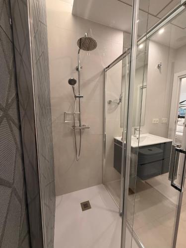 a shower with a glass door in a bathroom at El Rincón in Pozoblanco