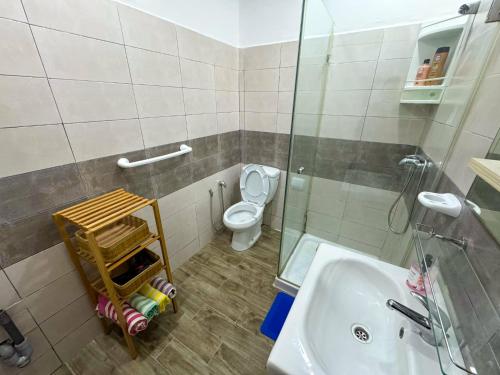 a bathroom with a toilet and a sink and a shower at L'hirondelle bleue in Tunis