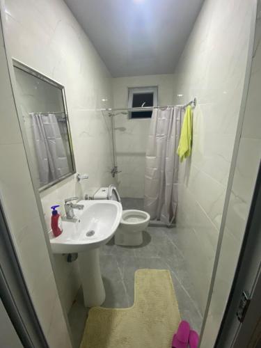 a bathroom with a sink and a toilet and a mirror at Marita Guesthouse in Batumi