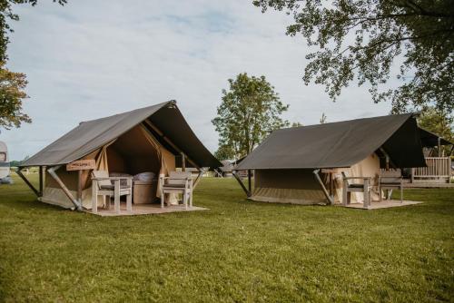 ein Zelt mit Stühlen und Tischen auf einem Feld in der Unterkunft Safaritent Mini Lodge in Kesteren