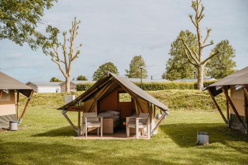 ein Zelt mit Stühlen und einem Bett auf einem Feld in der Unterkunft Safaritent Mini Lodge in Kesteren