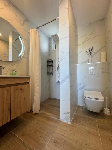 a bathroom with a toilet and a sink and a mirror at TWINS Apartments in Bregvija