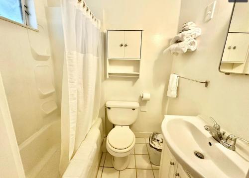 a white bathroom with a toilet and a sink at Flora Motel in Flora