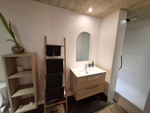 a bathroom with a sink and a mirror at La Case des Caraïbes in Le Gosier