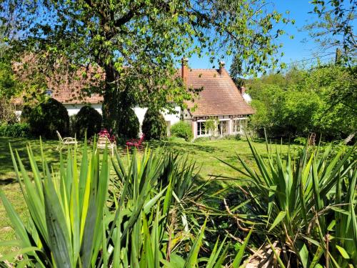 a house in the middle of a yard with plants at Le Clos Verdonnais in Verdon