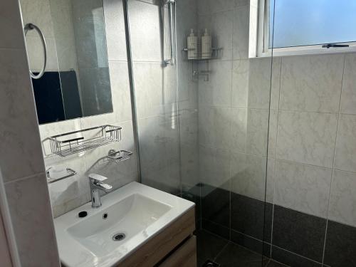 a bathroom with a sink and a glass shower at Loft Style Apartment in Monte Vista