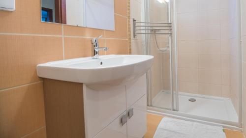 Een badkamer bij Trnovec Apartman
