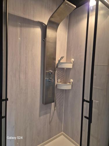 a shower with a glass door and a sink at Ancienne étable in Pierrefitte-sur-Sauldre
