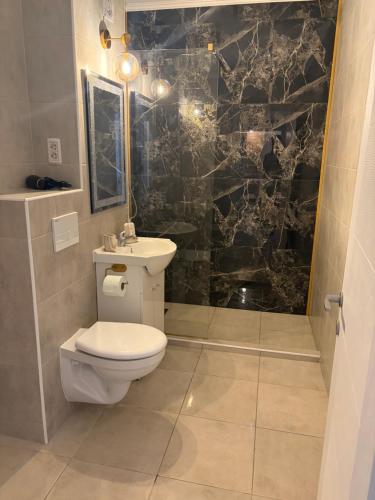a bathroom with a toilet and a black marble wall at Nico's Place in Sînpetru