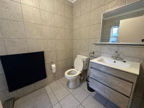 a bathroom with a toilet and a sink and a mirror at Gorgeous Holiday Home in Monte Vista
