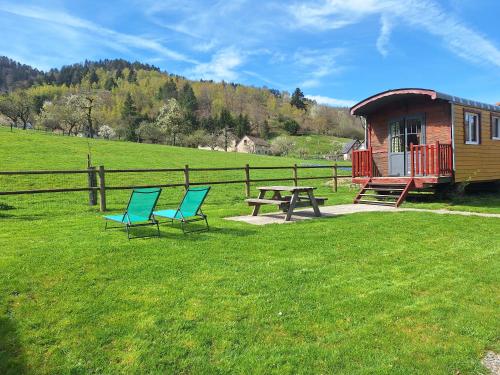 two chairs and a picnic table in front of a cabin at Le Repaire de Mitzerlé in Mitzach