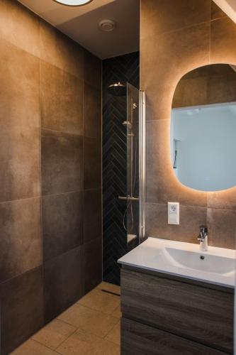 a bathroom with a sink and a mirror at vredehof appartement in Sint Maartensbrug