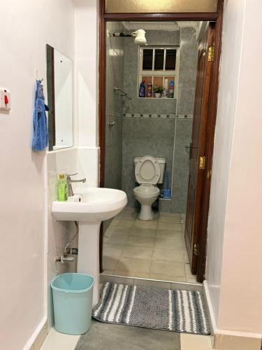 a bathroom with a sink and a toilet at One Bedroom Roysambu Mirema Drive in Nairobi