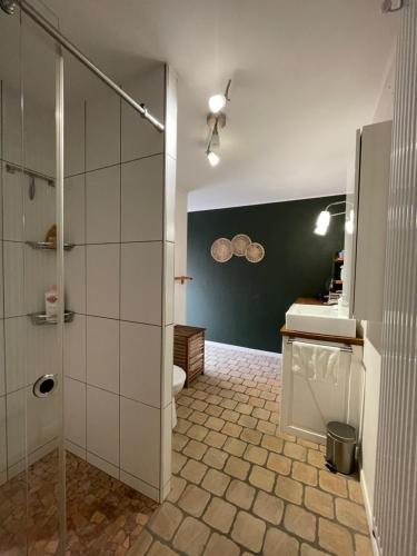 a bathroom with a shower and a sink and a toilet at Le Cocon Turckheim in Turckheim