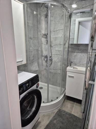 a bathroom with a shower and a washing machine at MV Apartament in Druskininkai