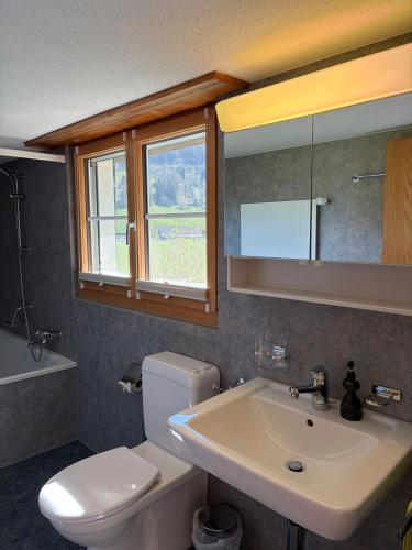a bathroom with a sink and a toilet and a mirror at Ferienwohnung Bürgenblick in Kehrsiten
