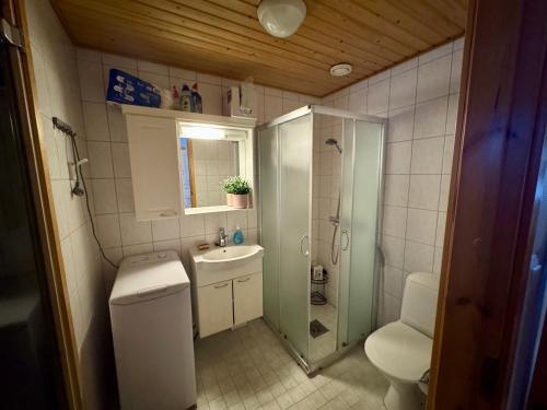 a bathroom with a toilet and a sink and a shower at Usva Cabins Ylläs - Sapara J 38 in Äkäslompolo