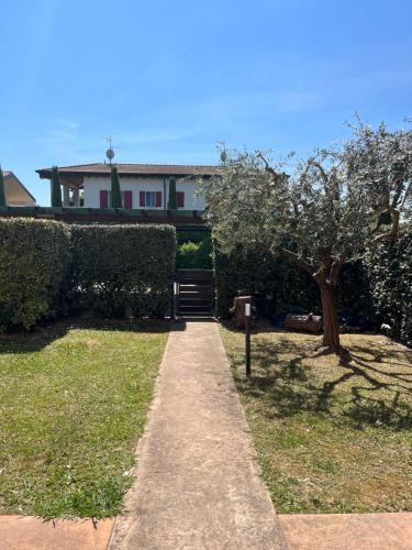 a walkway in front of a house with a tree at Le Vele Del Cigno in Peschiera del Garda