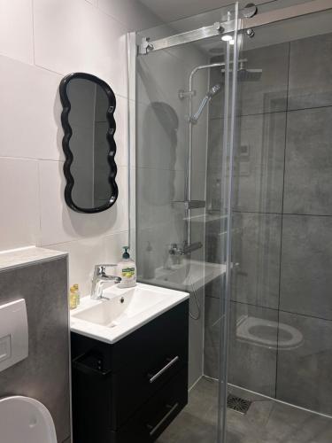 a bathroom with a sink and a glass shower at Cosy 26 - Zuid-Limburg in Simpelveld