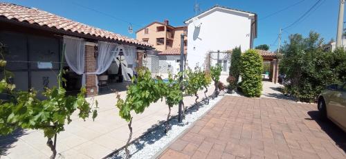 Casa Providenca