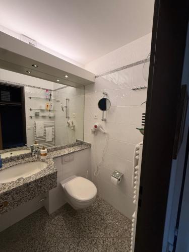 a bathroom with a toilet and a sink and a mirror at Blüemlisalp 712 Studio in Beatenberg