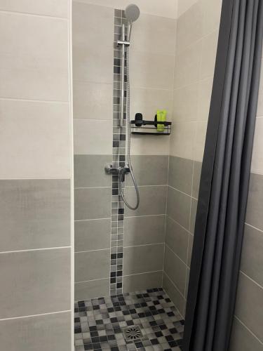 a shower with a glass door in a bathroom at La Clef de la Place in Leucate