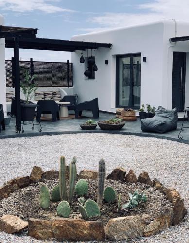 a patio with cacti in a landscaping at Mazi stin Io in Ios Chora