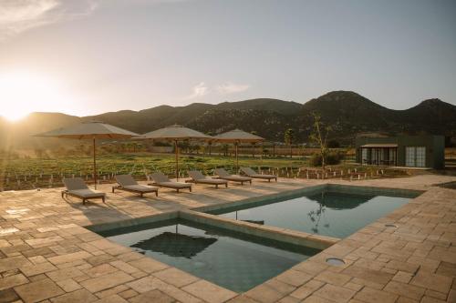 a swimming pool with lounge chairs and umbrellas at Nangi Hotel Boutique in Valle de Guadalupe