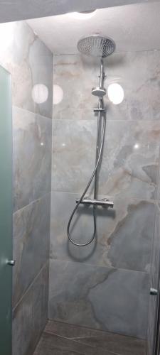 a shower with a shower head in a bathroom at Ferienwohnung am Kirchberg Europa-Park Spassbad-Rulantica-Schwarzwald ,Frankreich, in Ettenheim