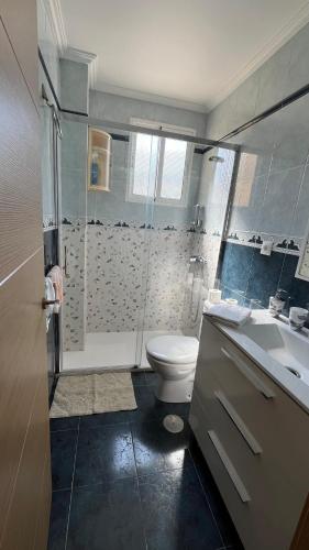 a bathroom with a toilet and a shower and a sink at Ana in Burela de Cabo