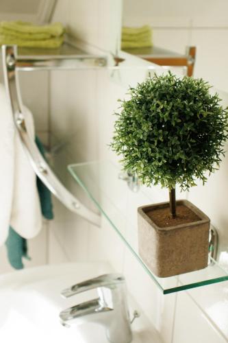 a potted plant sitting on a bathroom sink at Mini Wohlfühlnest in Edertal