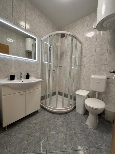 a bathroom with a shower and a toilet and a sink at Apartmani Cindrić in Stara Baška