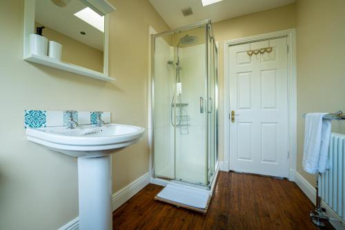 a bathroom with a sink and a shower at Phoenix House in Dublin