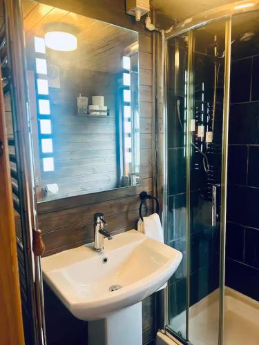 a bathroom with a sink and a glass shower at Cosy Log Cabin in Machynlleth - Wales - Wifi & Parking in Machynlleth