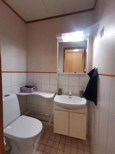 a bathroom with a toilet and a sink and a mirror at Aurora House in Pello