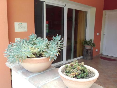 two potted plants sitting on a ledge in front of a building at La Via Del Volano in Codigoro