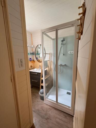 a bathroom with a shower with a glass door at Oustau deu Beç in Verdaches