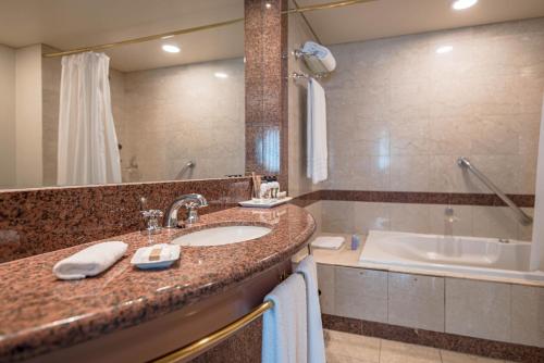 a bathroom with a sink and a tub at Quinto Centenario Hotel in Córdoba