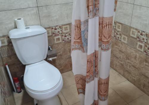 a bathroom with a toilet and a shower curtain at Mirage Hotel in Shinuhayr