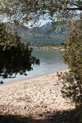 a beach with a view of a body of water at Le Ville Le Saline in Palau