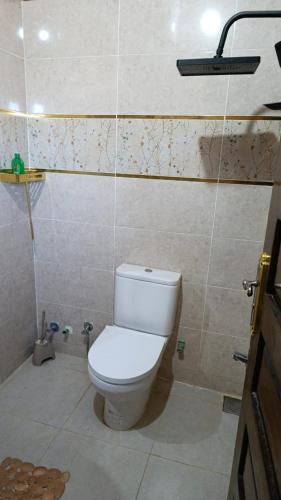 a bathroom with a white toilet in a room at Kenzy House Abu Simbel in Abu Simbel