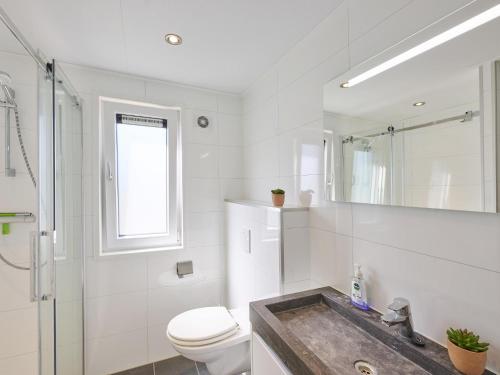 a bathroom with a sink and a toilet and a shower at L Etage in Kaatsheuvel