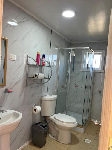 a bathroom with a shower and a toilet and a sink at CasasAnique in Cañete