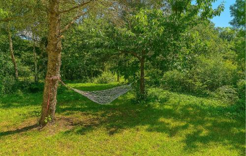 a hammock hanging between two trees in a yard at Stunning Home In Cybulin With Wifi in Cybulino