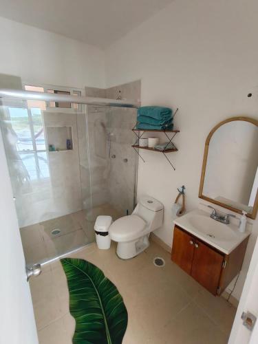 a bathroom with a toilet and a sink and a mirror at Villa Del Mar 14 in Antón Lizardo