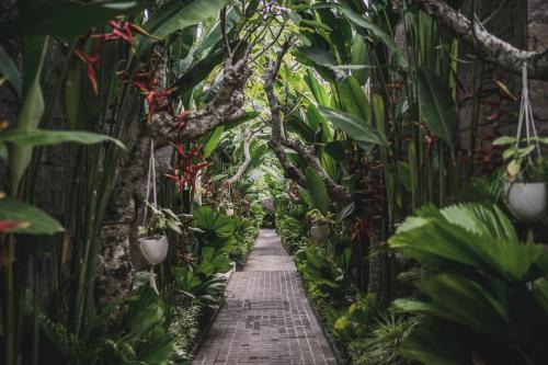 a walkway through a greenhouse filled with plants at Asvara Villa Ubud by Ini Vie Hospitality in Ubud